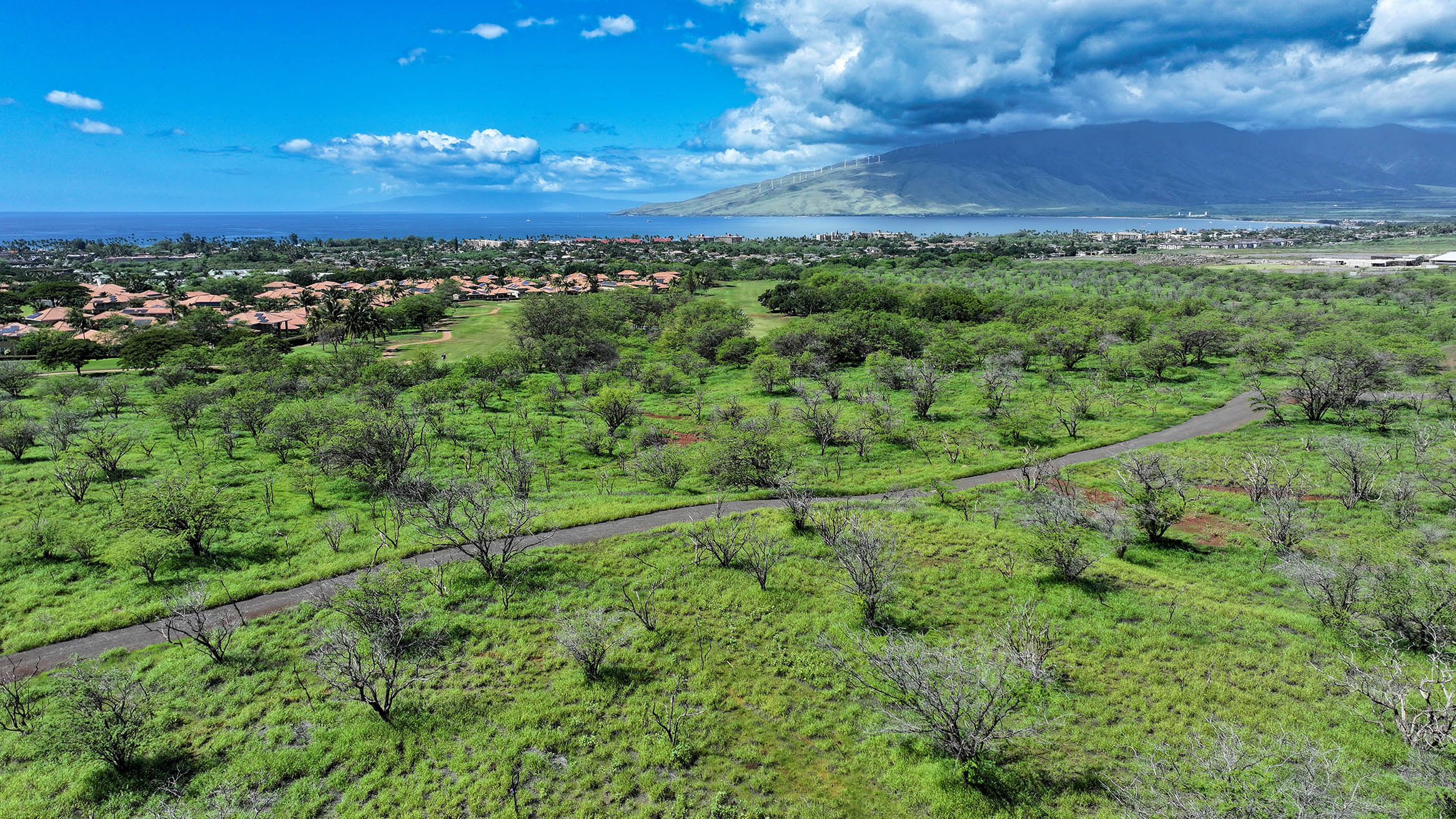 Lipoa Maui Community