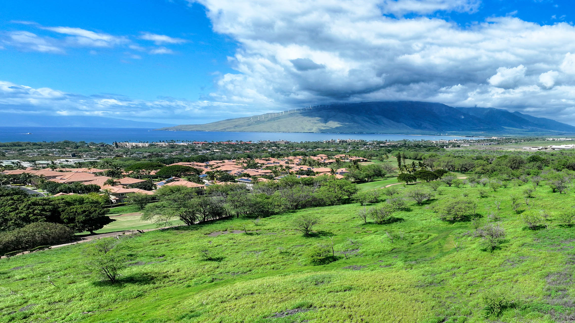Lipoa Maui Community