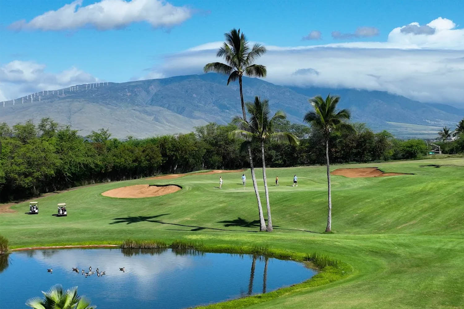 Lipoa Maui Hawaii Tech Academy